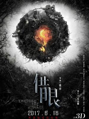 影视作品